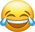 1743322156910.webp