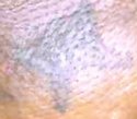 767UFCA Tattoo.jpg 767UFCA Tattoo.jpg