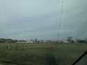 fieldtp.jpg