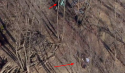 Screenshot (6).png