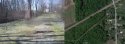 briar hill screen.jpg