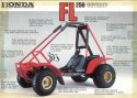 honda_fl250_odyssey_250_atv_1976-1984_l.jpg