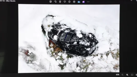 crimescene thin white lines.webp