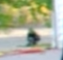 Screenshot 2014-12-04 at 2.24.30 AM - Edited.png