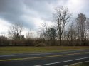 IMG_2243.jpg