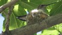 IMG_0194 - Version 3.JPG