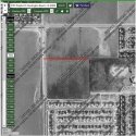 Field 02.jpg