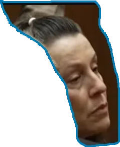 1750730354774.webp