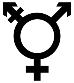 1750813692524.webp