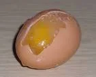 I accidentally froze a dozen eggs. Are they still good? : r ...