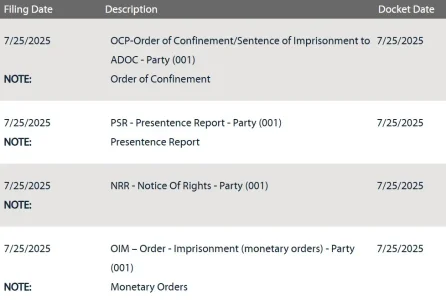 docket post sentence.webp