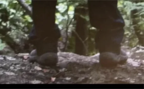 Screenshot 2025-07-30 140536NO LINES.webp