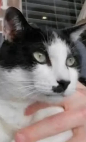 GxJ7gVSXgAAajXH.webp