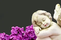 guardianPutto_LilacFlowers_250.webp