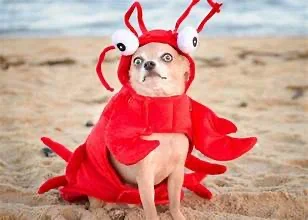 1756991177413.webp