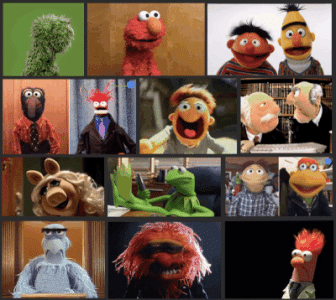 muppets zoom call.gif