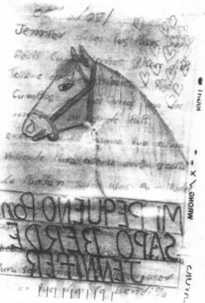Pony2.webp