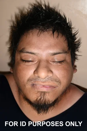 1758664892248.webp