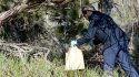 australian forensics officer bagging evidence.jpg