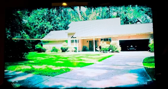 IMG_6355.webp IMG_6355.webp