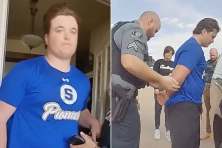 1762504181411.webp 1762504181411.webp