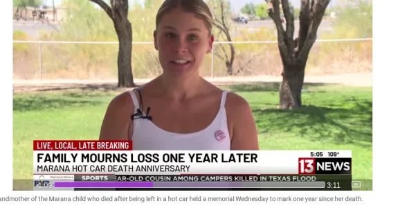 1762536240528.webp 1762536240528.webp