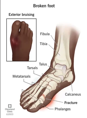 Screenshot 2025-11-12 161452.webp