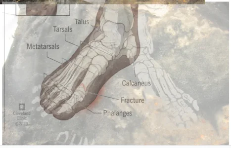 Screenshot 2025-11-12 170450.webp