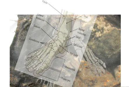 Screenshot 2025-11-12 171755.webp