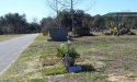 user50483_pic9826_1267396070.jpg
