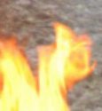 fire.jpg