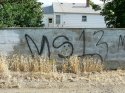 ms-13 tag.jpg
