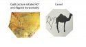 camel.jpg