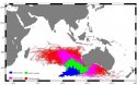 mh270 debris map.jpg
