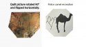 camels.jpg