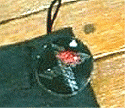 missx2.gif
