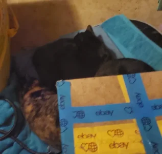 facebook_1764660130895_7401521045655218658.webp facebook_1764660130895_7401521045655218658.webp