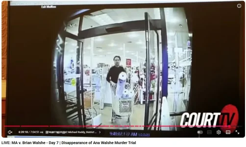 walshe 7.webp walshe 7.webp