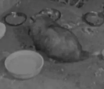 Screenshot_20251210_004136_Messages.webp Screenshot_20251210_004136_Messages.webp