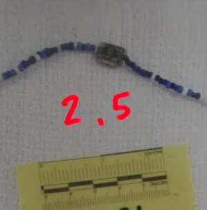 Screenshot_20251218_105808_Samsung Internet.webp