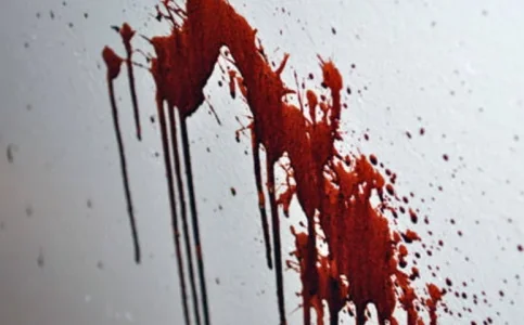 Screenshot_2025-12-19-16-36-51-210 (1).webp Screenshot_2025-12-19-16-36-51-210 (1).webp