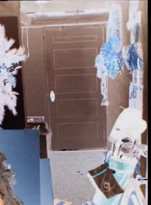 =Negative of wine cellar door=.webp