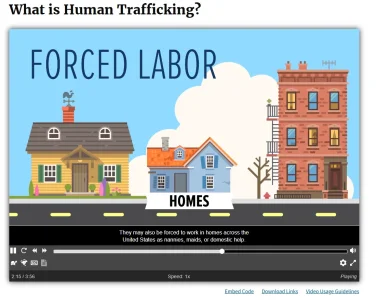 Screenshot Capture - 2025-12-29 - 23-20-54.webp