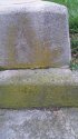 Moss.jpg