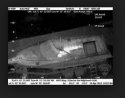 thermal imaging boston bomber.JPG