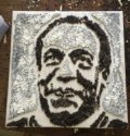 cosby in rapeseed.jpg