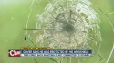 Driver_says_windshield_protected_him_in__3364840000_23472137_ver1.0_640_480.jpg
