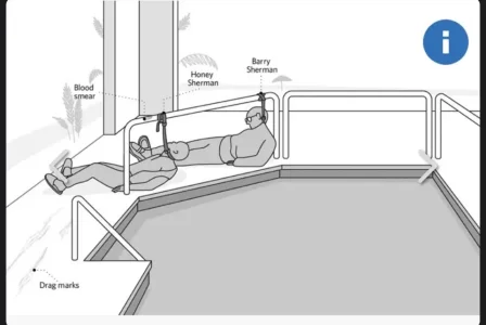 IMG_0060.webp IMG_0060.webp