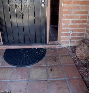 Nancy Guthries porch.webp