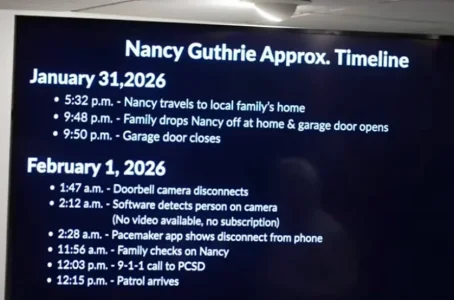 Screenshot 2026-02-05 132530.webp